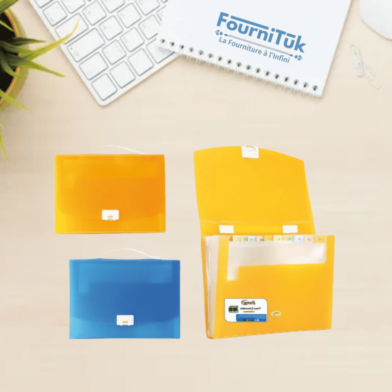 Trieur Valisette 12 Compartiments BOSTON 102553 – Porte-Documents avec Poignée