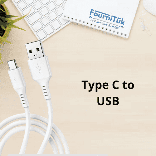 Câble USB vers Type-C PLUSTAR